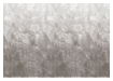 Infinity Wall - Coral Pattern