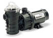 Pool Filters