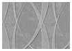 Richwood Wall - Triumph Pattern